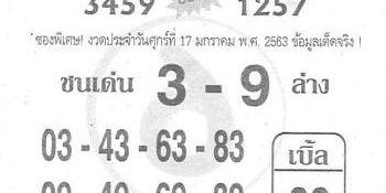 ม้าสีหมอก 170163