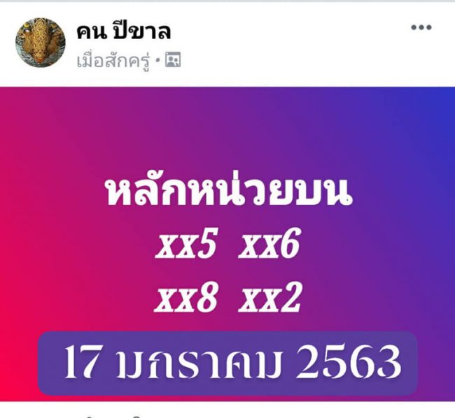 เลขเด็ด คนปีขาล-170163