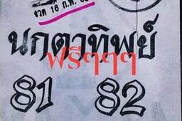 เลขเด็ด หวยนกตาทิพย์-160263