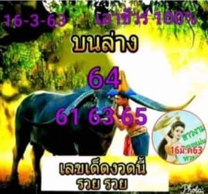 เลขเด็ด พี่ควายคนโก้-160363