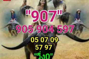 หวยซอง หวยพี่ควายคนโก้-010863