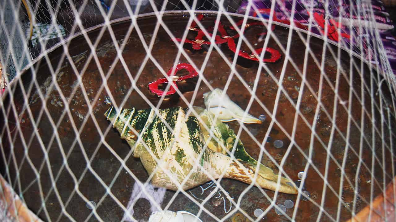 หวยดัง หวยฤาษีเณร-160863_1