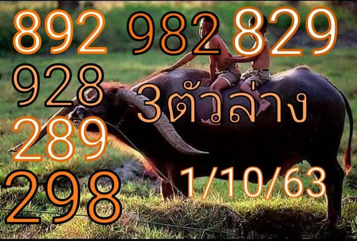 หวยซอง-หวยพี่ควายคนโก้-011063_1