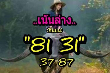 หวยซอง หวยพี่ควายคนโก้-011163