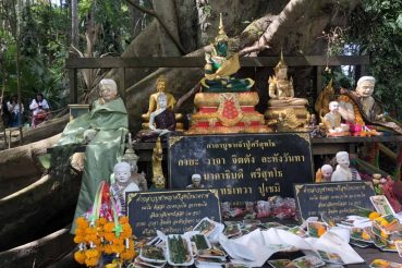 หวยดัง หวยคำชะโนด-011163_2