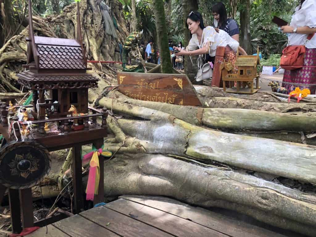หวยดัง หวยคำชะโนด-011163_4