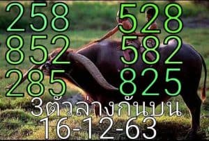หวยซอง-หวยพี่ควายคนโก้-161263