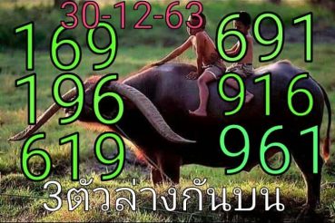 หวยซอง-หวยพี่ควายคนโก้-301263