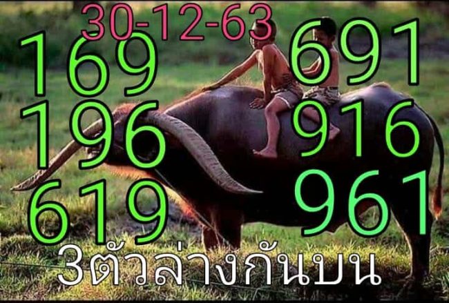 หวยซอง-หวยพี่ควายคนโก้-301263
