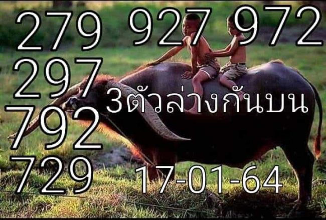 หวยซอง หวยพี่ควายคนโก้-170164