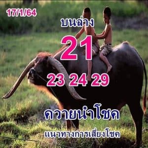หวยซอง-หวยพี่ควายคนโก้-170164_1