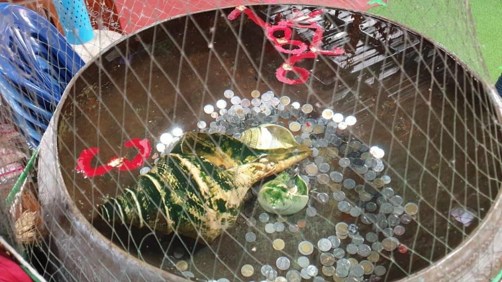 หวยดัง หวยฤาษีเณร-170164_1