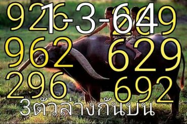 หวยซอง หวยพี่ควายคนโก้-010364