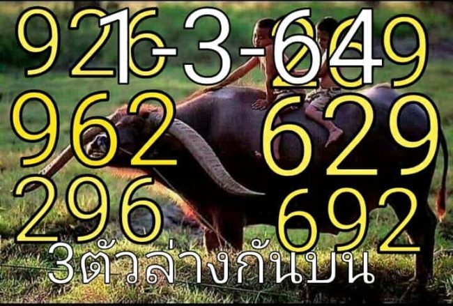 หวยซอง หวยพี่ควายคนโก้-010364