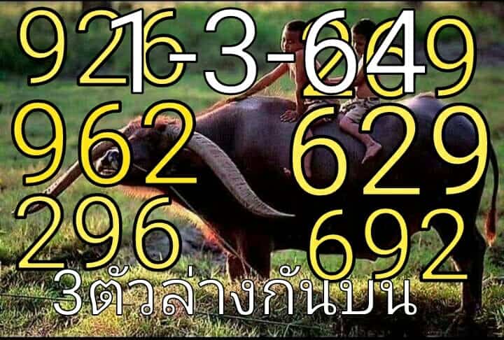 หวยซอง หวยพี่ควายคนโก้-010364