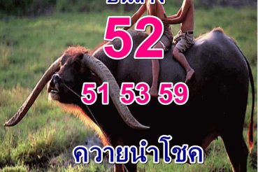 หวยซอง พี่ควายคนโก้-160364