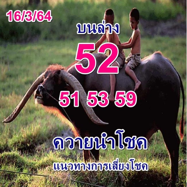 หวยซอง พี่ควายคนโก้-160364