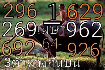 หวยซอง หวยพี่ควายคนโก้-010464