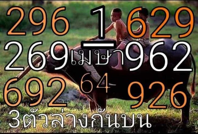 หวยซอง หวยพี่ควายคนโก้-010464