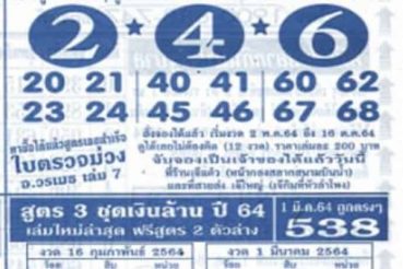 หวยซอง หวยใบตรวจม่วง-010464