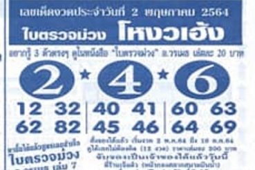 หวยซอง หวยใบตรวจม่วง-020564