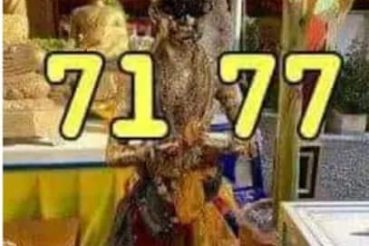 หวยซอง หวยไอ้ไข่-160564
