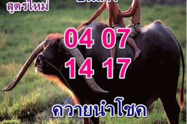 หวยซอง หวยพี่ควายนำโชค-160664