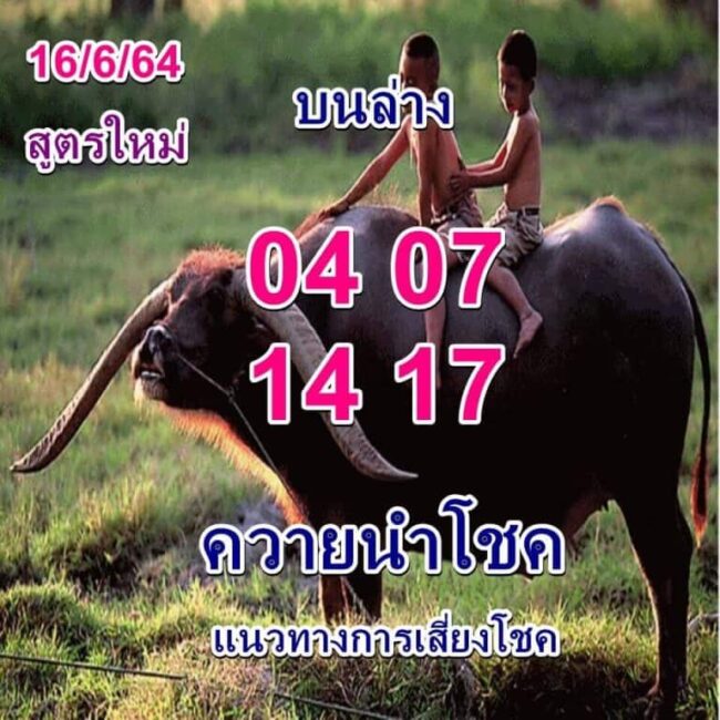 หวยซอง หวยพี่ควายนำโชค-160664