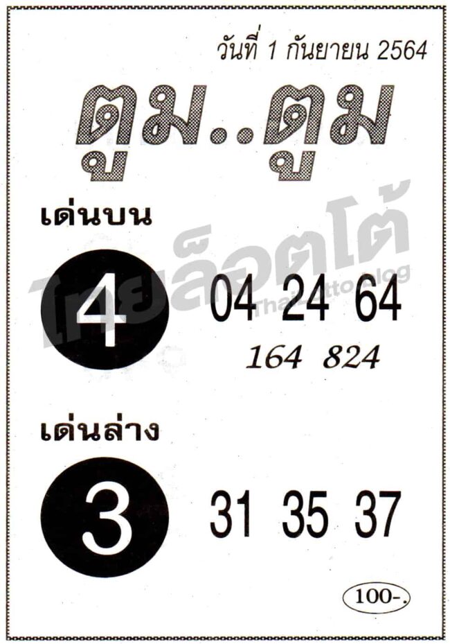 หวยซอง หวยตูมตูม-010964