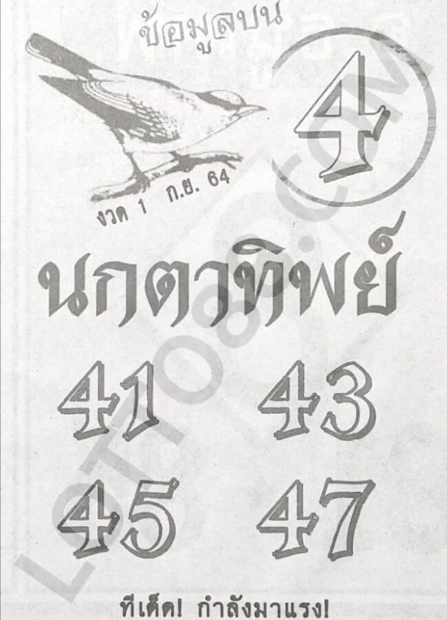 หวยซอง หวยนกตาทิพย์-010964