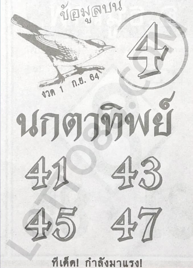 หวยซอง หวยนกตาทิพย์-010964