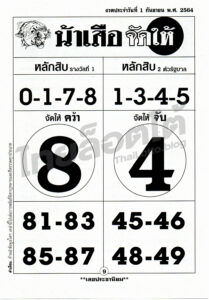 หวยซอง หวยน้าเสือจัดให้-010964