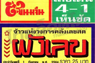 หวยซอง หวยผังเลข-010964_1