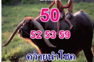 หวยซอง หวยพี่ควายคนโก้-010964