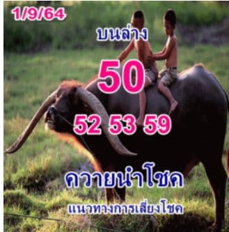 หวยซอง หวยพี่ควายคนโก้-010964
