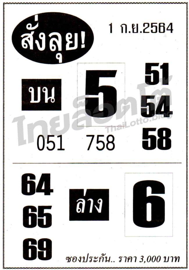 หวยซอง หวยสั่งลุย-010964