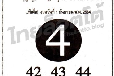 หวยซอง หวยหมูเซียน-010964