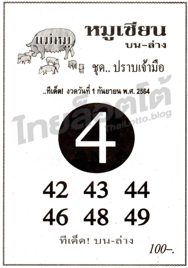หวยซอง หวยหมูเซียน-010964