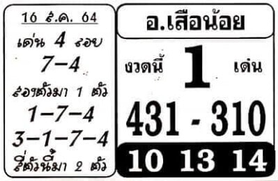 หวยซอง หวยอาจารย์เสือน้อย-160864
