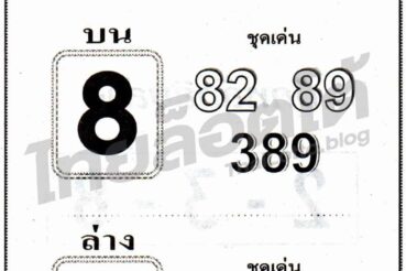หวยซอง หวยกระต่ายทอง-160964