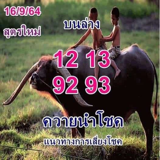 หวยซอง หวยพี่ควายคนโก้-160964_1