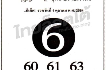 หวยซอง หวยหมูเซียน-011064