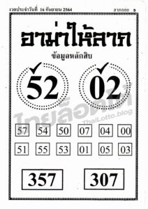 หวยซอง หวยอาม่าให้ลาภ-160964