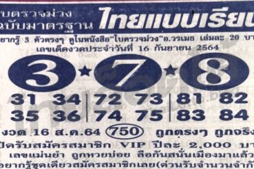 หวยซอง หวยใบตรวจม่วง-160964