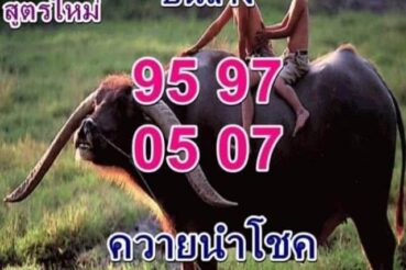 หวยซอง หวยพี่ควายคนโก้-011164