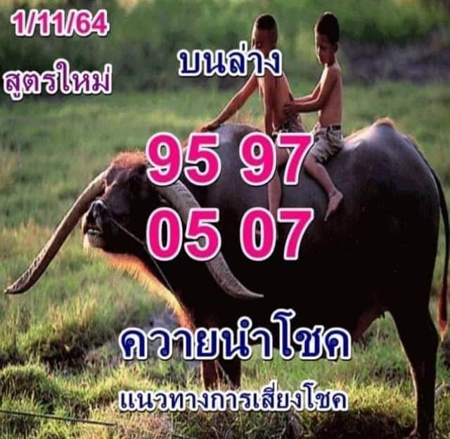 หวยซอง หวยพี่ควายคนโก้-011164
