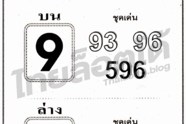 หวยซอง หวยกระต่ายทอง-161164