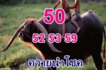หวยซอง หวยพี่ควายคนโก้-161164