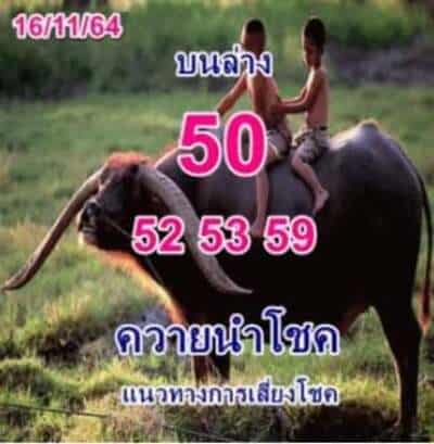 หวยซอง หวยพี่ควายคนโก้-161164