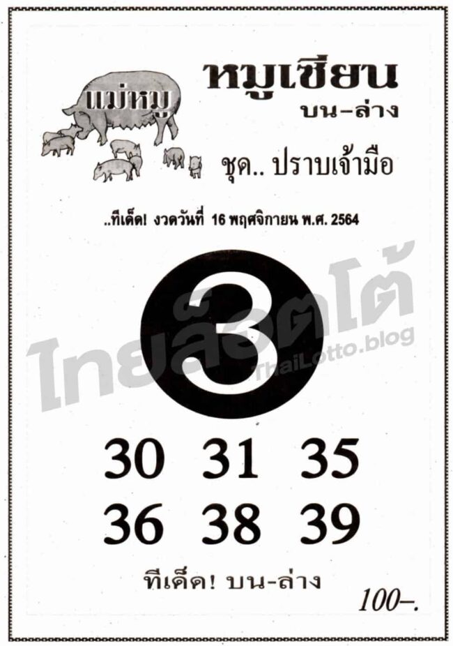 หวยซอง หวยหมูเซียน-161164